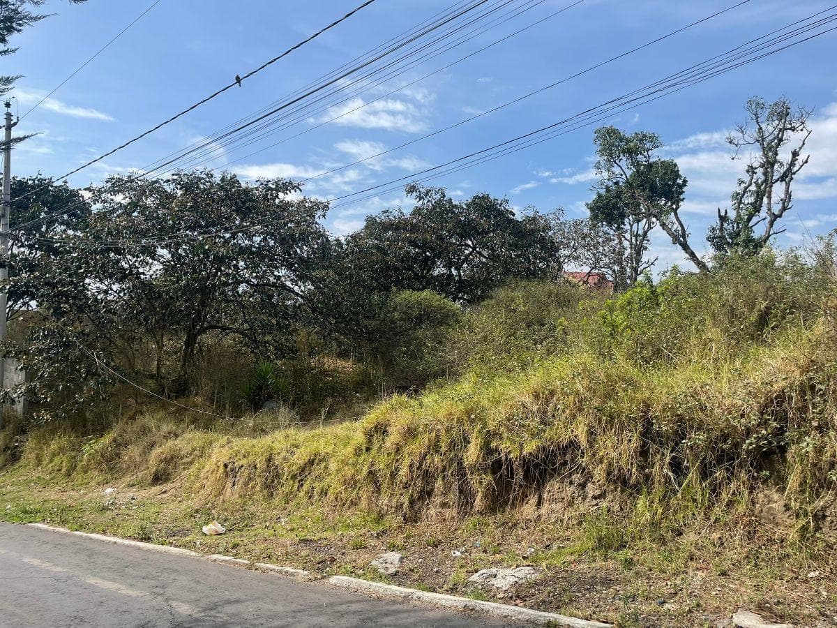 Venta Terreno de 3.829 m² en Nayón Sector de Inchapicho - Quito — imagen 10