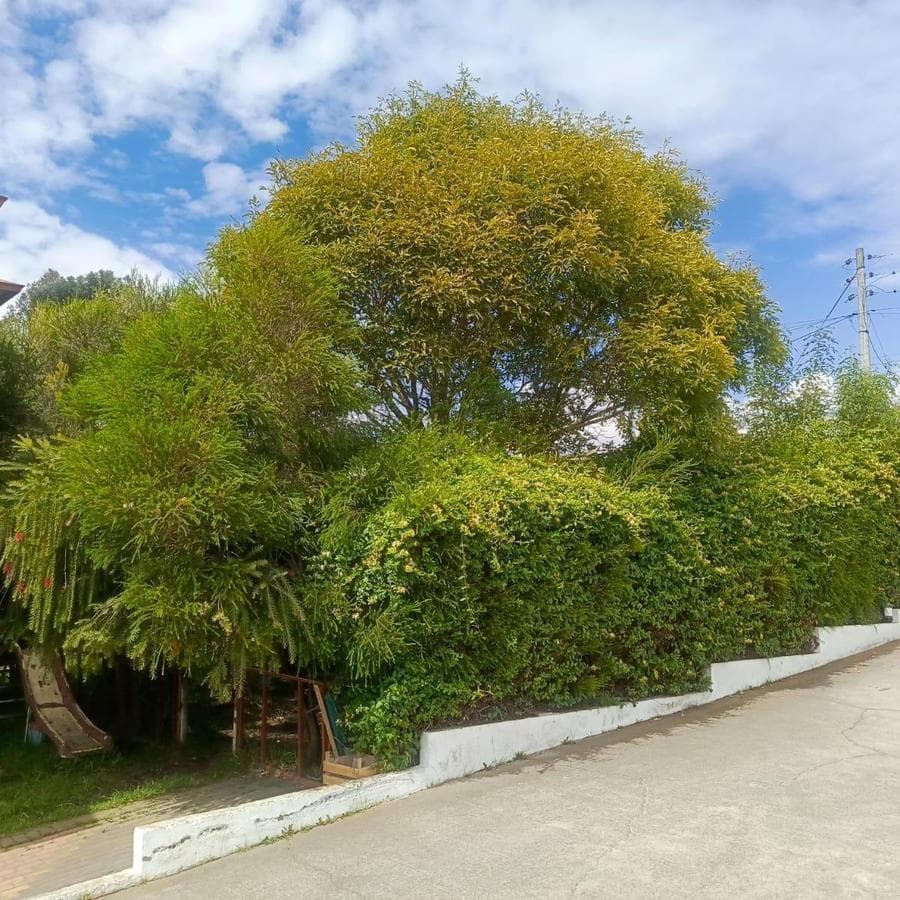 Quinta en Venta en Montalvo. Tungurahua, Tungurahua — imagen 7