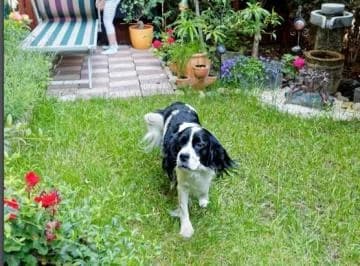 Sector El Bosque 2 Dorm./en Construcción — imagen 5