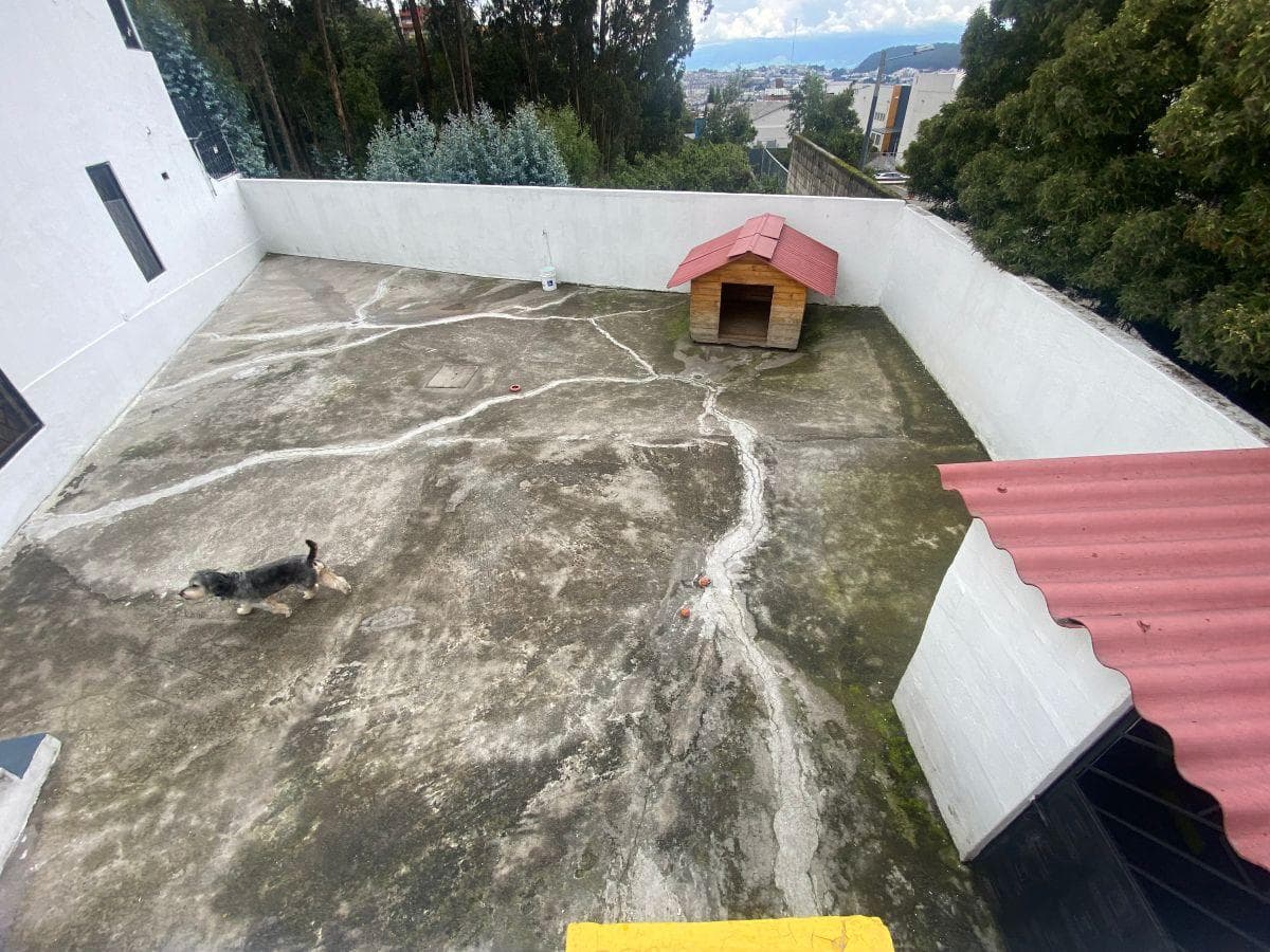 Casa de 306 m² con 4 Habitaciones en Venta en El Bosque — imagen 10