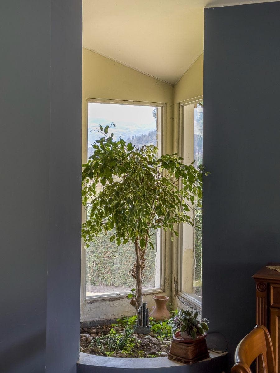 Casa de 1250 m² con 4 Dorm. en Venta en Lumbisí — imagen 5
