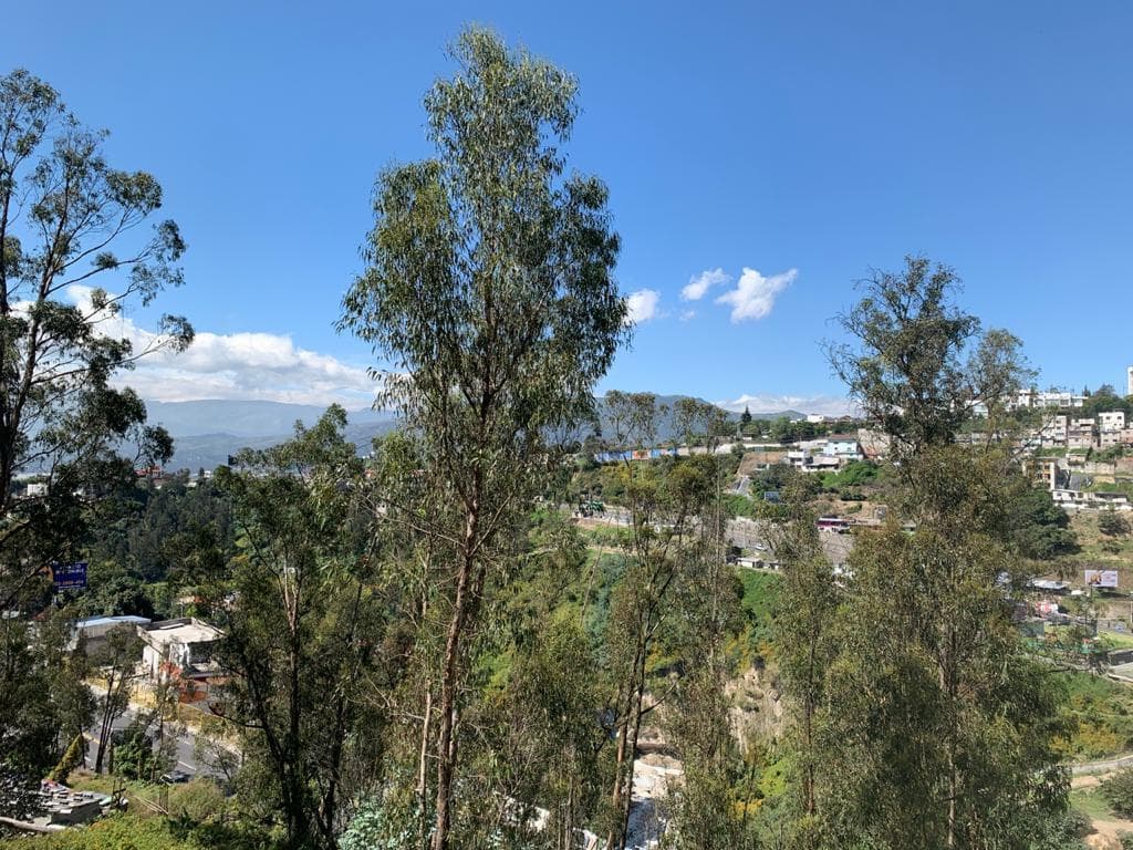 Venta Terrenos en Cumbaya — imagen 4