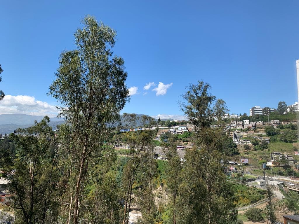 Venta Terrenos en Cumbaya — imagen 3