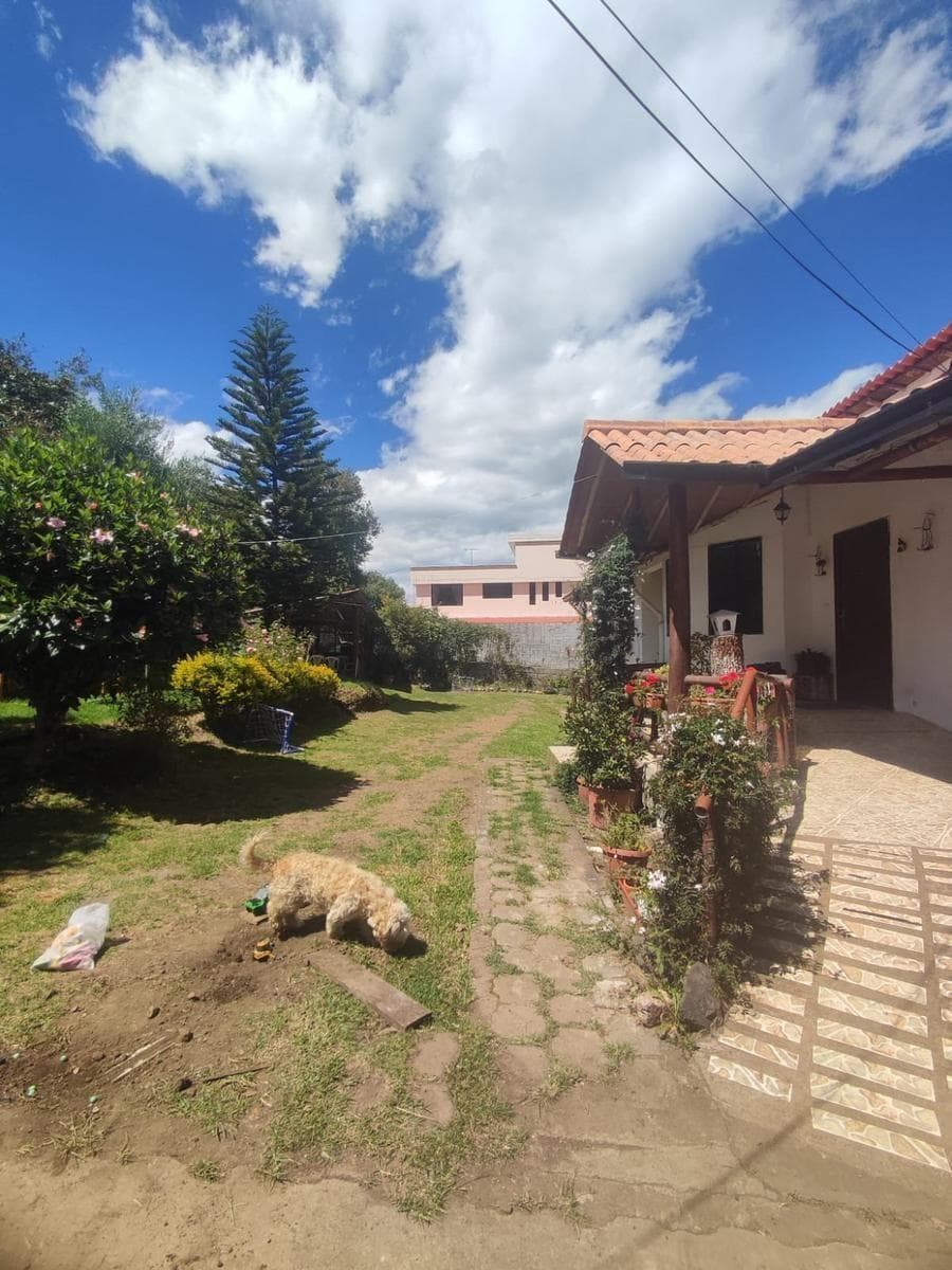 Casa de 1988 m² con 4 Dorm. en Venta en Alangasí — imagen 10