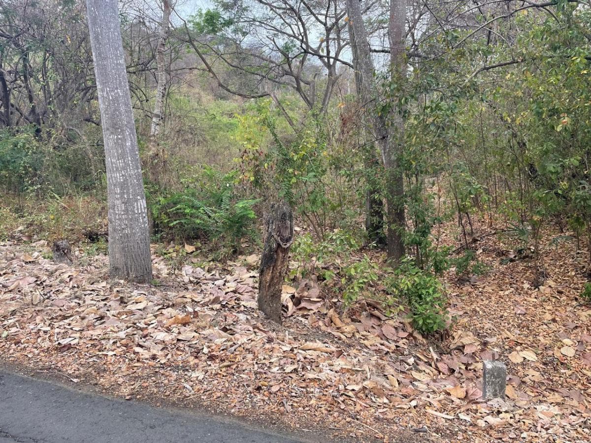 Se Vende Terreno en Lago de Capeira Joss, Guayas — imagen 9