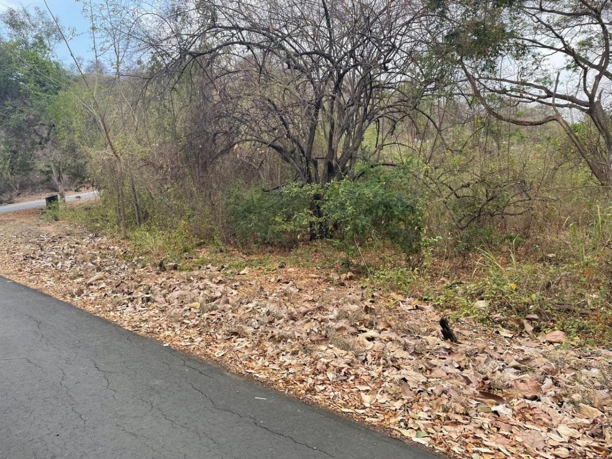 Se Vende Terreno en Lago de Capeira Joss, Guayas — imagen 8