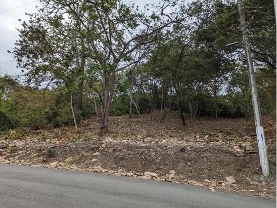 Se Vende Terreno en Lago de Capeira Joss, Guayas — imagen 3
