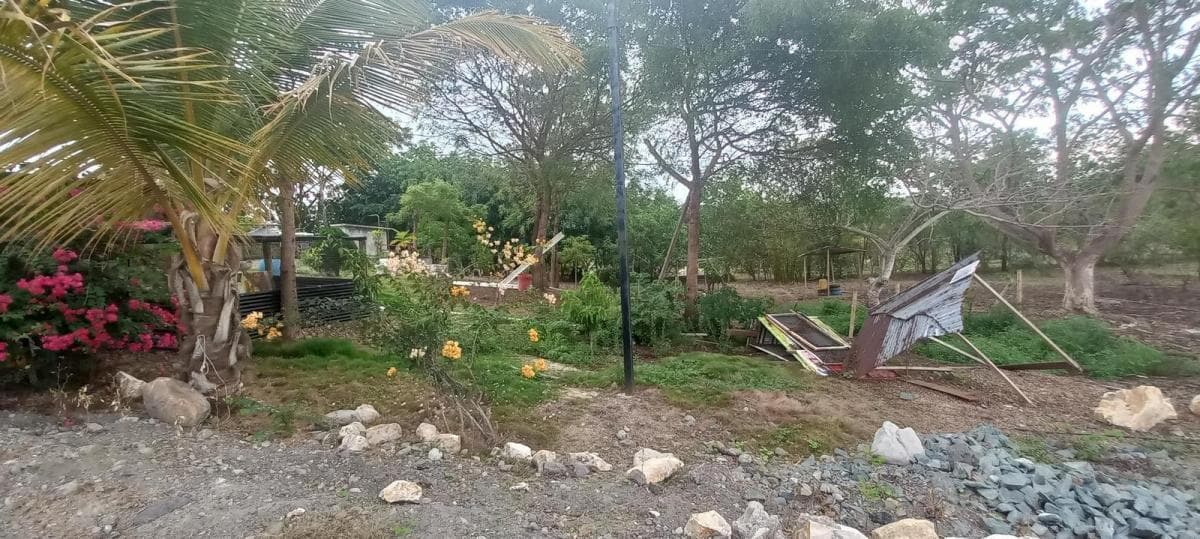 Terreno Finca Al Pie Vía a La Costa Km 68, Guayas — imagen 6