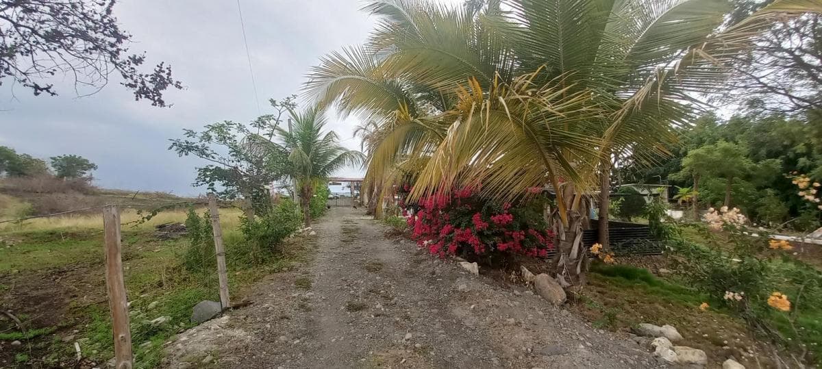 Terreno Finca Al Pie Vía a La Costa Km 68, Guayas — imagen 5