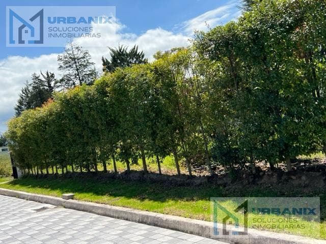 Departamento en Puembo — imagen 5