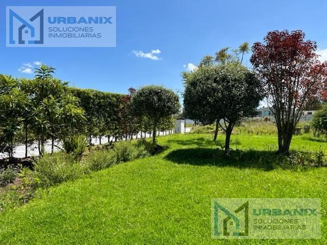 Departamento en Puembo — imagen 4