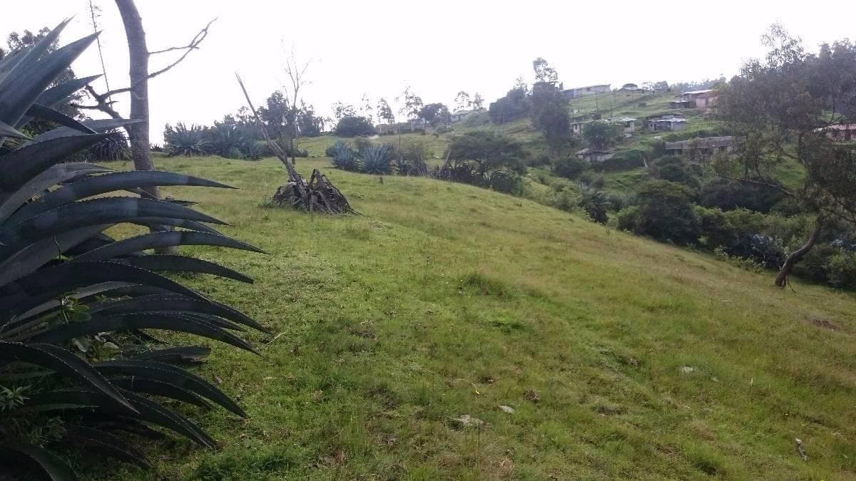 Venta Terreno Alangasí Urb. La Floresta 5 Km del Parque o 6.5 Km Colibrí - Pifo — imagen 8