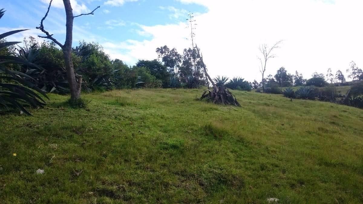 Venta Terreno Alangasí Urb. La Floresta 5 Km del Parque o 6.5 Km Colibrí - Pifo — imagen 7