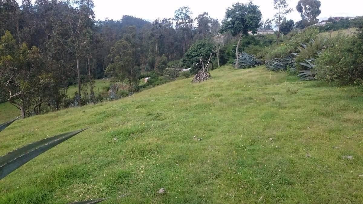 Venta Terreno Alangasí Urb. La Floresta 5 Km del Parque o 6.5 Km Colibrí - Pifo — imagen 4