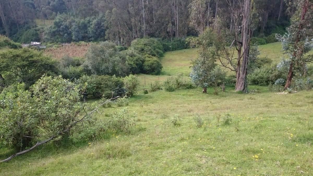 Venta Terreno Alangasí Urb. La Floresta 5 Km del Parque o 6.5 Km Colibrí - Pifo — imagen 3