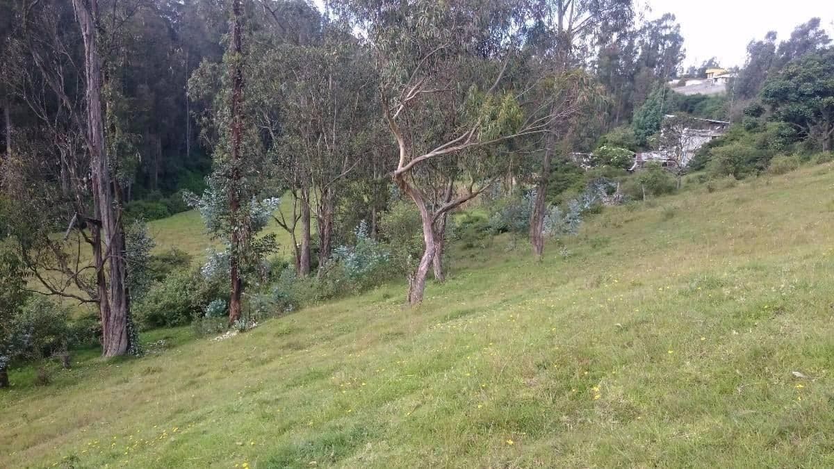 Venta Terreno Alangasí Urb. La Floresta 5 Km del Parque o 6.5 Km Colibrí - Pifo — imagen 2