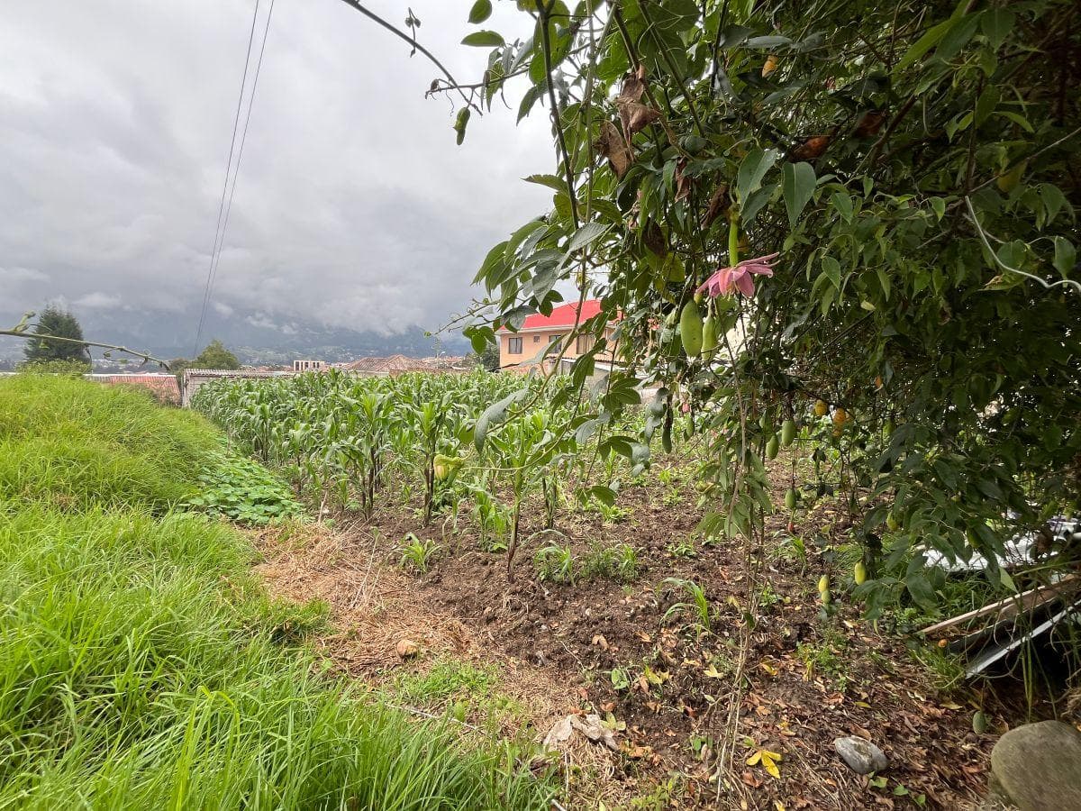 Lote en Venta, Sector Racar, Azuay — imagen 4