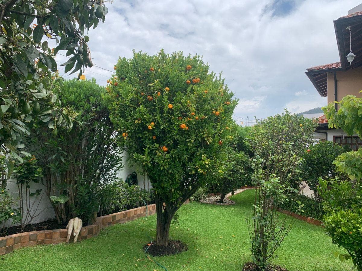 Elegante Residencia Esquinera con Amplio Jardín y Estudio Independiente en Urbanización Privada — imagen 3