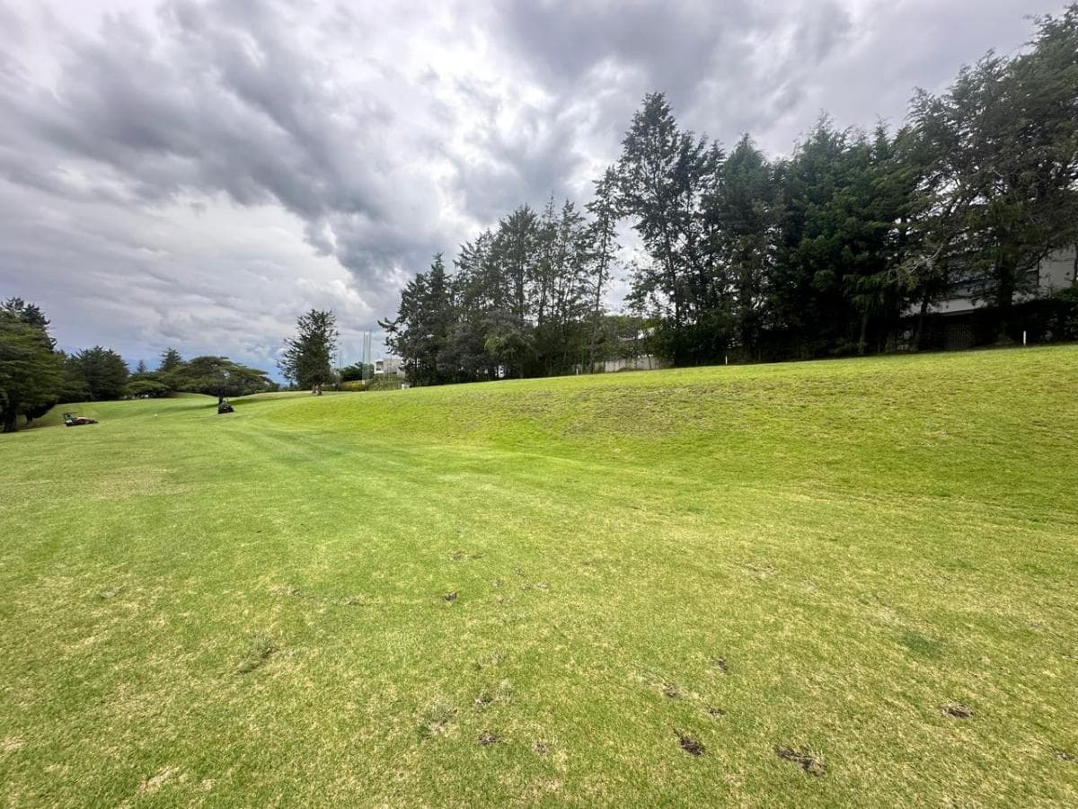Terreno en Puembo — imagen 7