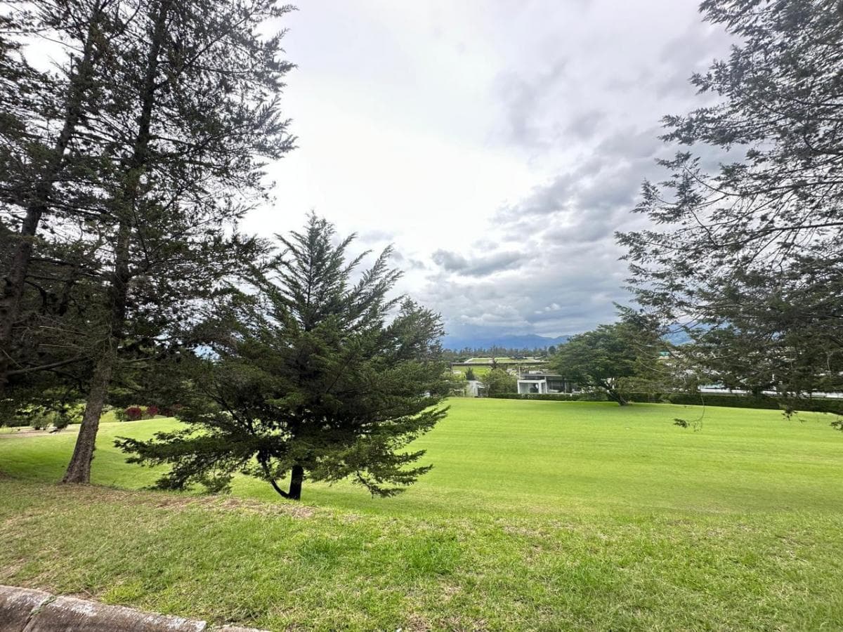 Terreno en Puembo — imagen 6
