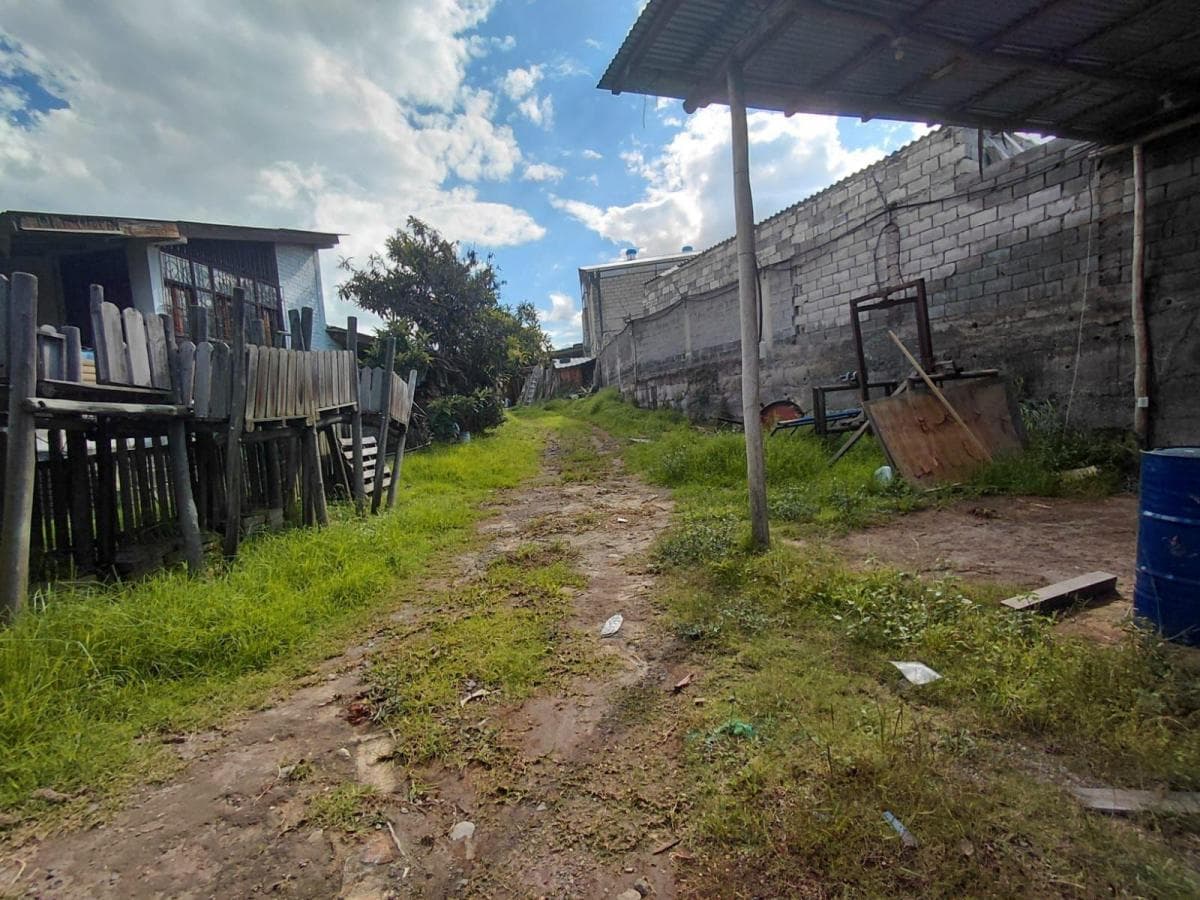 Terreno 3800 m Sector Tumbaco — imagen 7