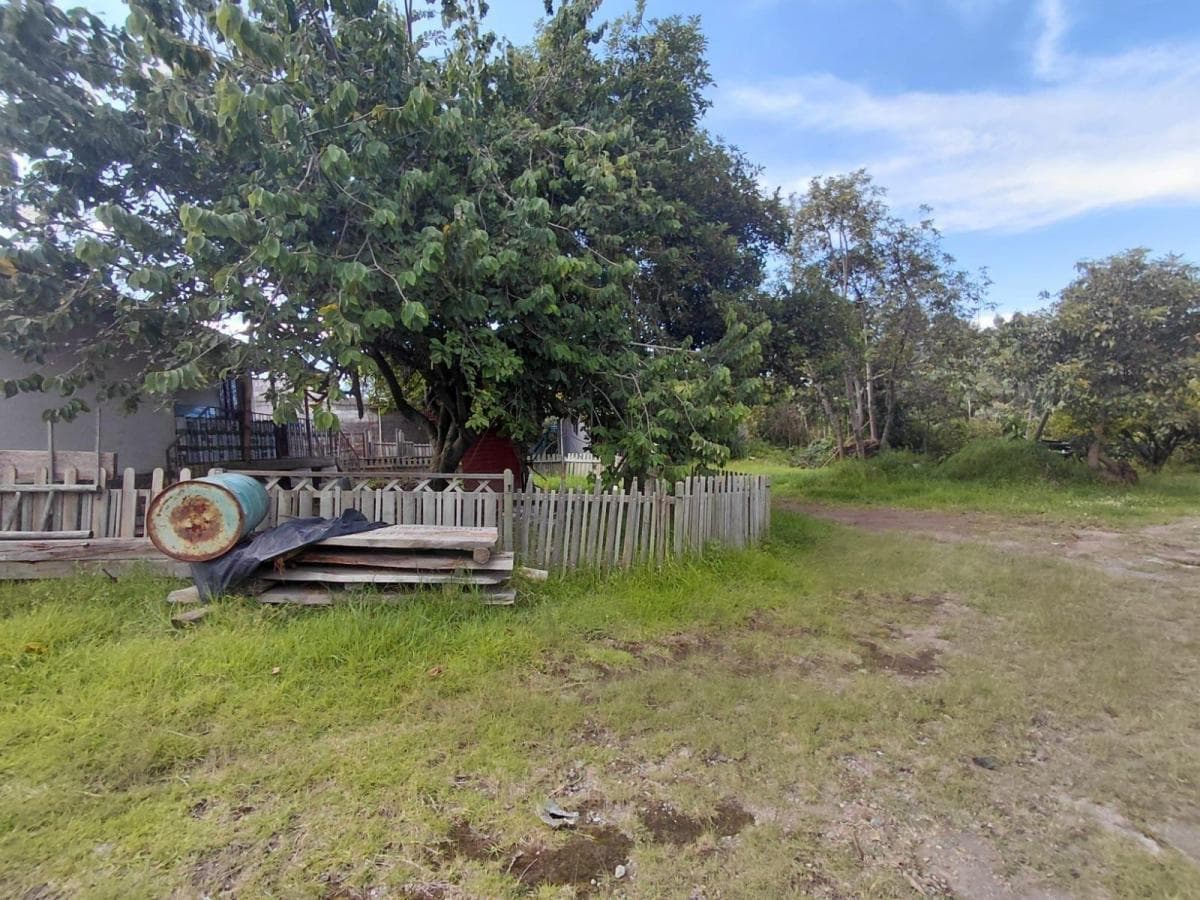 Terreno 3800 m Sector Tumbaco — imagen 6