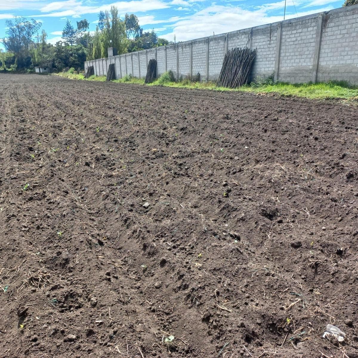 Terreno en Atuntaqui, Imbabura — imagen 7