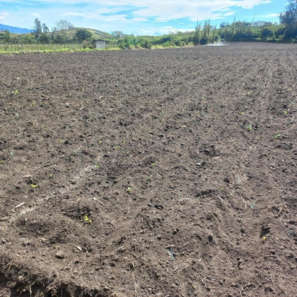 Terreno en Atuntaqui, Imbabura — imagen 6