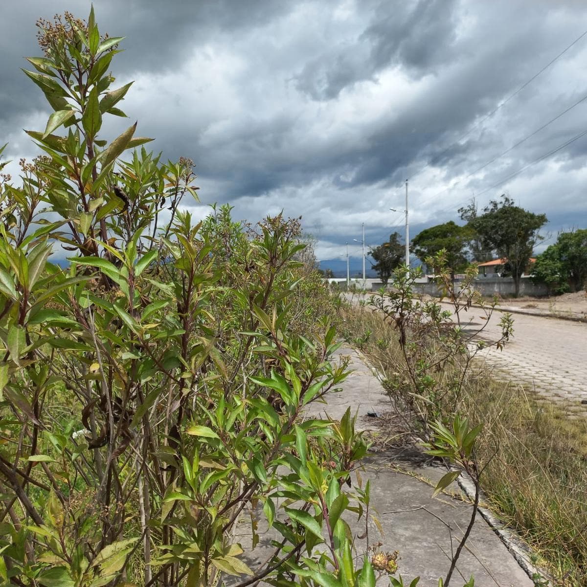 Terreno en Atuntaqui, Imbabura — imagen 5