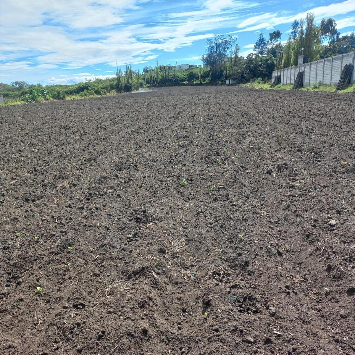 Terreno en Atuntaqui, Imbabura — imagen 3