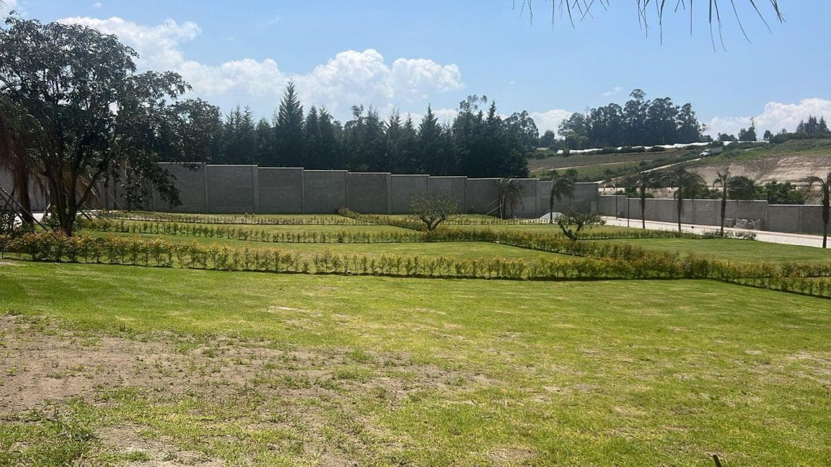Terreno en Puembo — imagen 8
