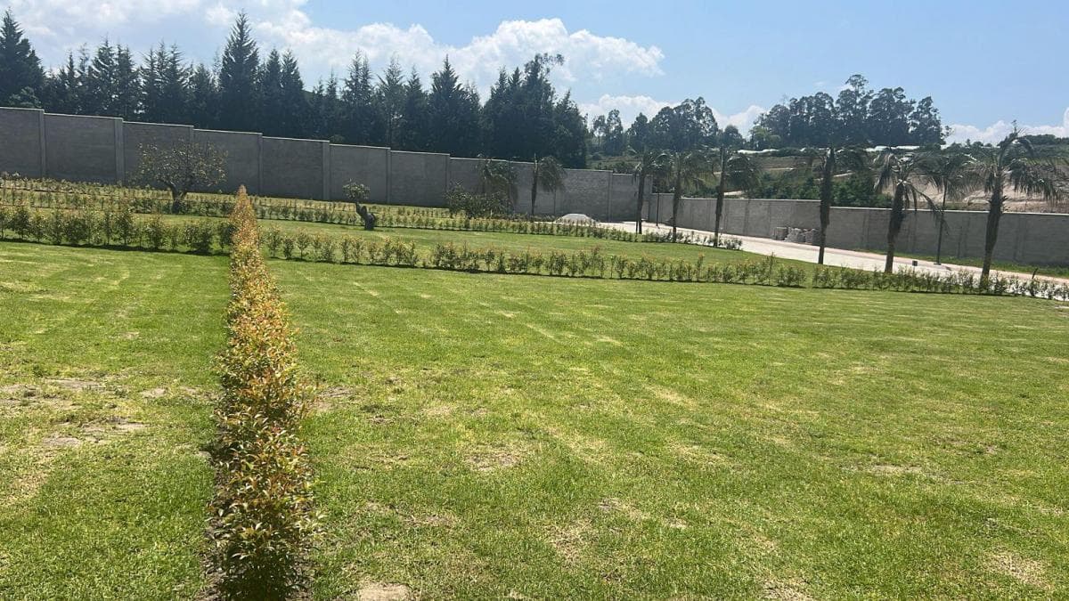 Terreno en Puembo — imagen 6