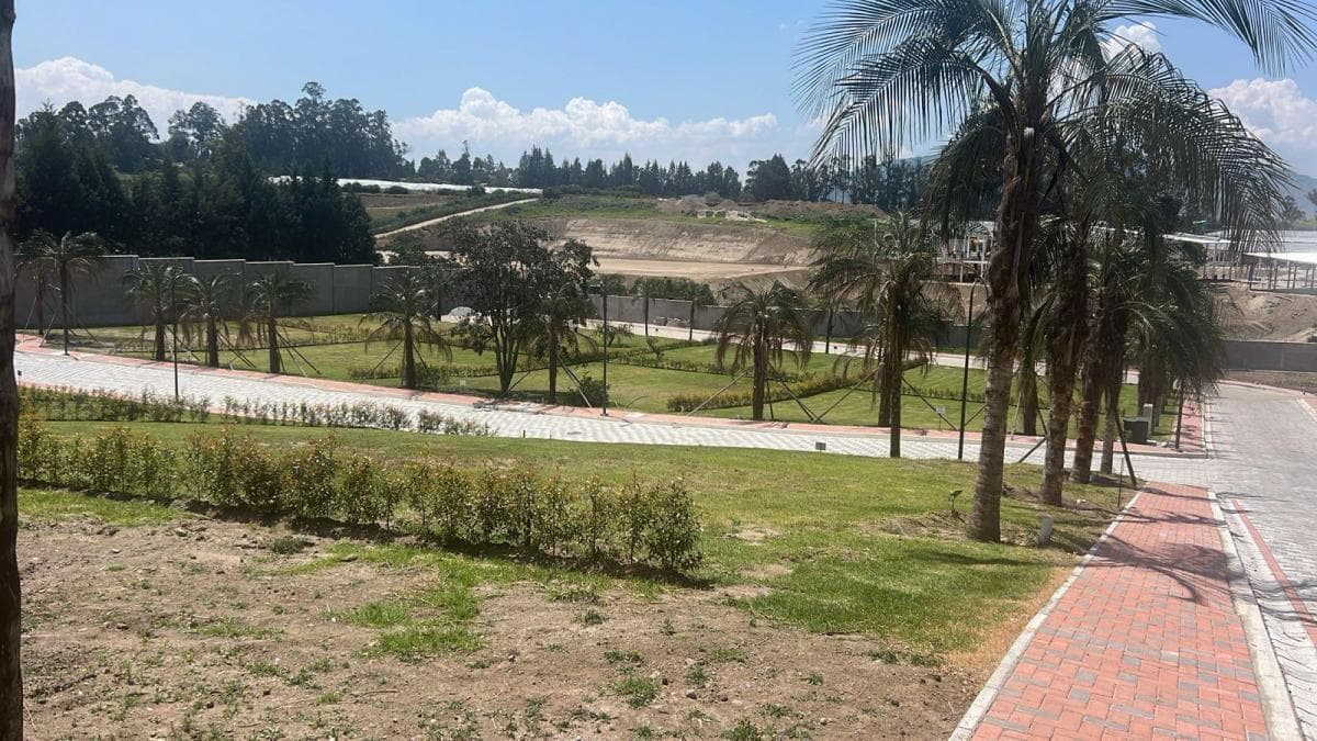 Terreno en Puembo — imagen 4