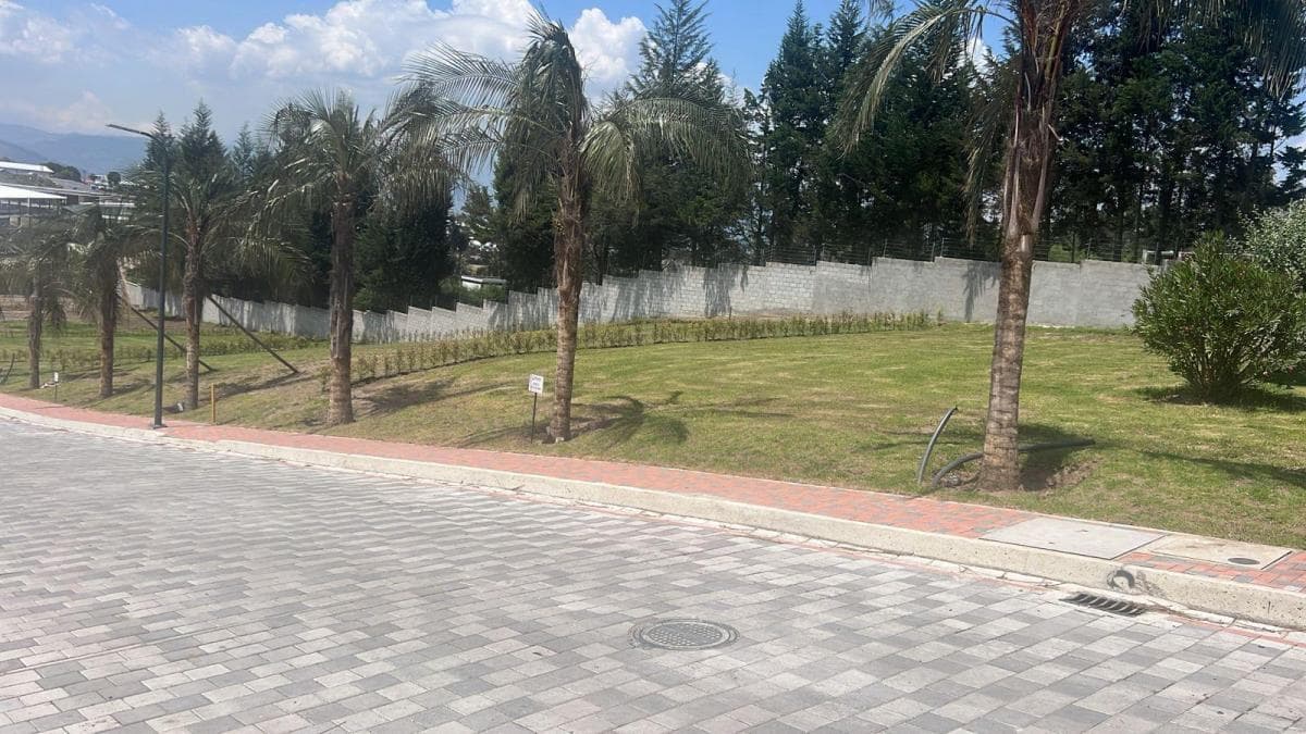 Terreno en Puembo — imagen 3