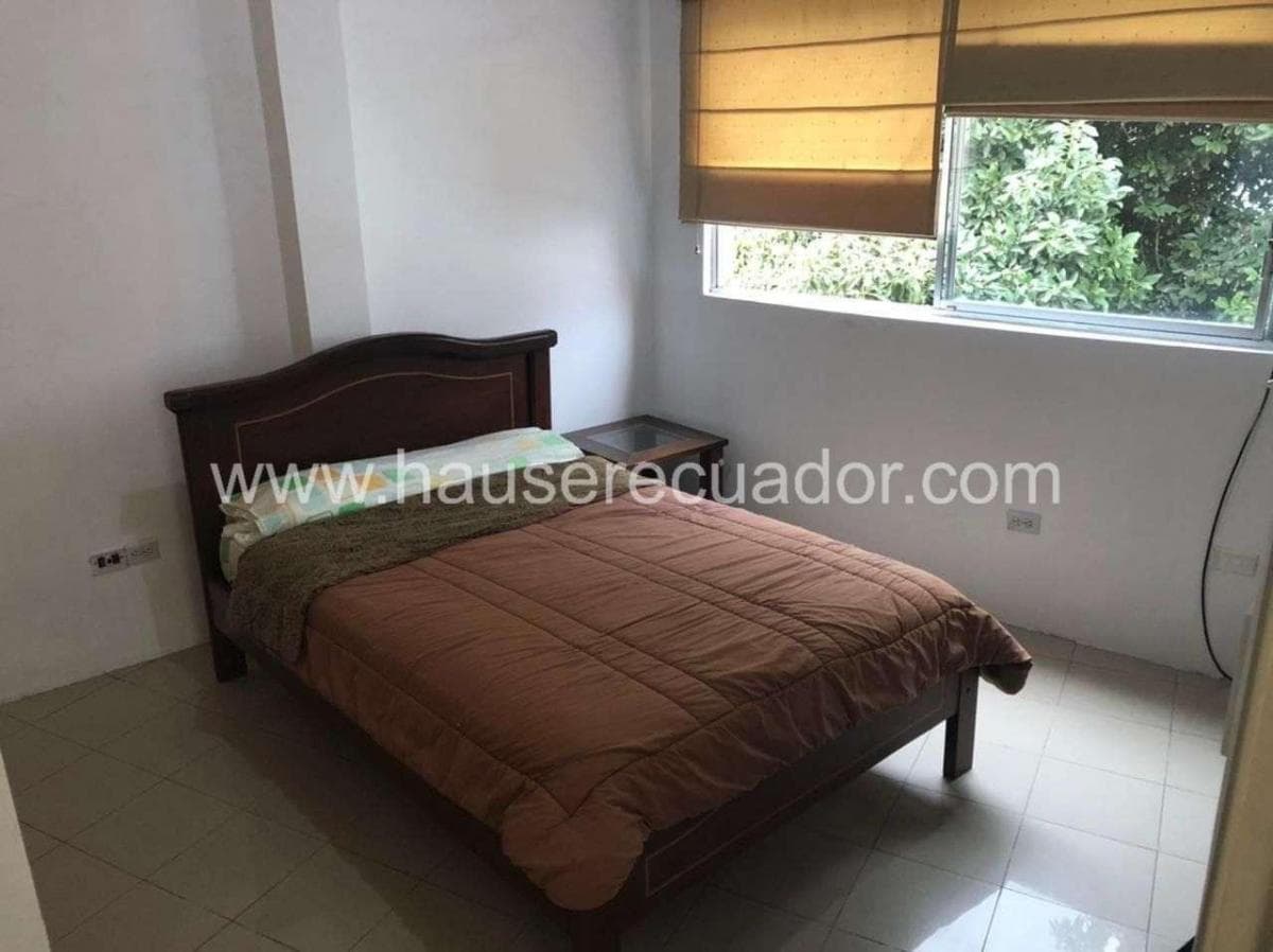 La Oportunidad Que Buscaba: Casa Rentera en San Rafael con Ingresos Inmediatos de $2.000 Al Mes — imagen 6