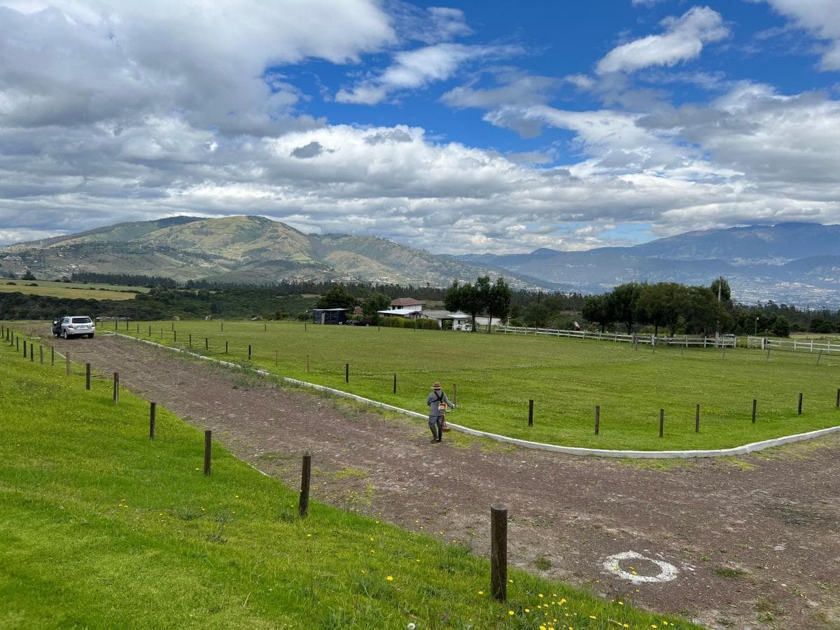 Pifo Terrenos de Venta en Conjunto - Urb. Vista Espectacular (Via Pifo) — imagen 7