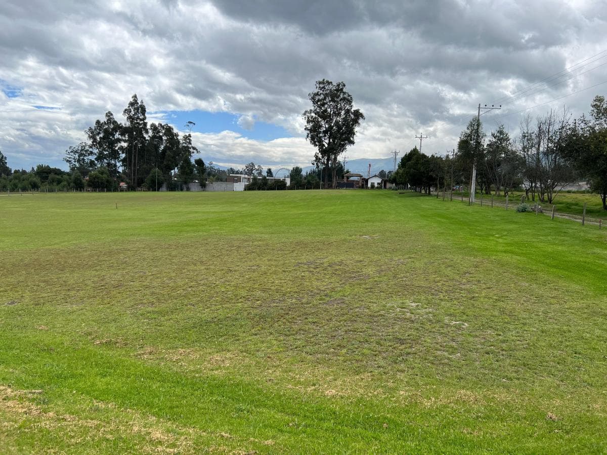Pifo Terrenos de Venta en Conjunto - Urb. Vista Espectacular (Via Pifo) — imagen 5