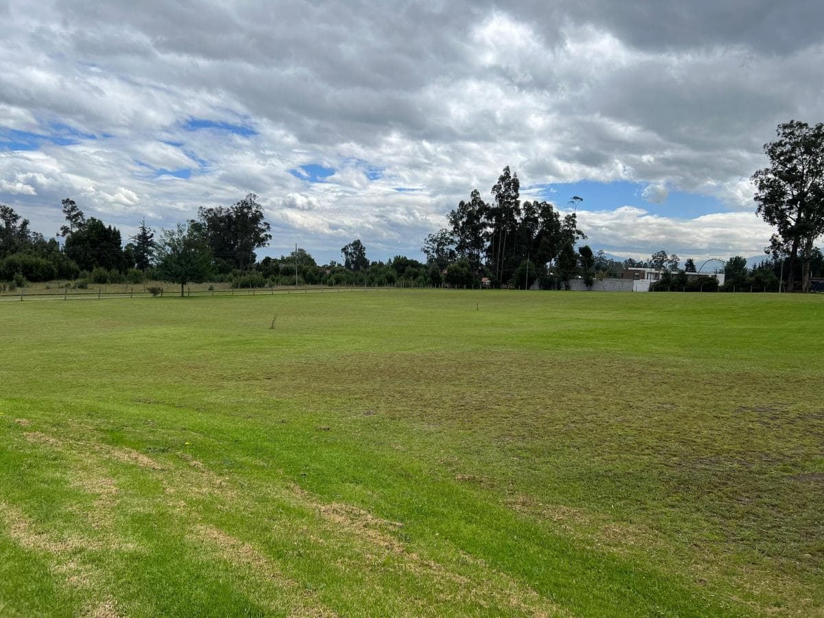 Pifo Terrenos de Venta en Conjunto - Urb. Vista Espectacular (Via Pifo) — imagen 4