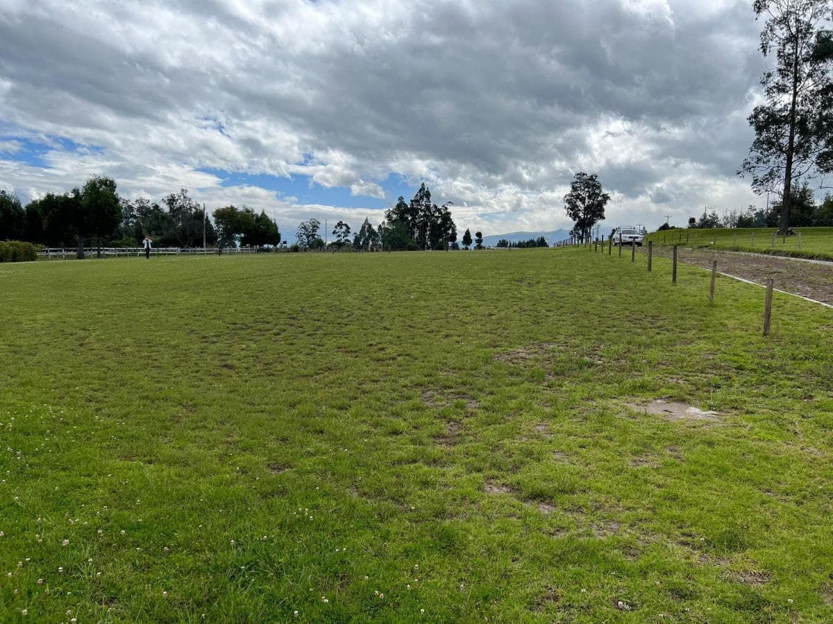 Pifo Terrenos de Venta en Conjunto - Urb. Vista Espectacular (Via Pifo) — imagen 2