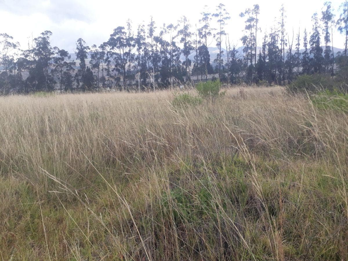 Venta Terreno Solanda, San Bartolo 2'000.000 — imagen 1