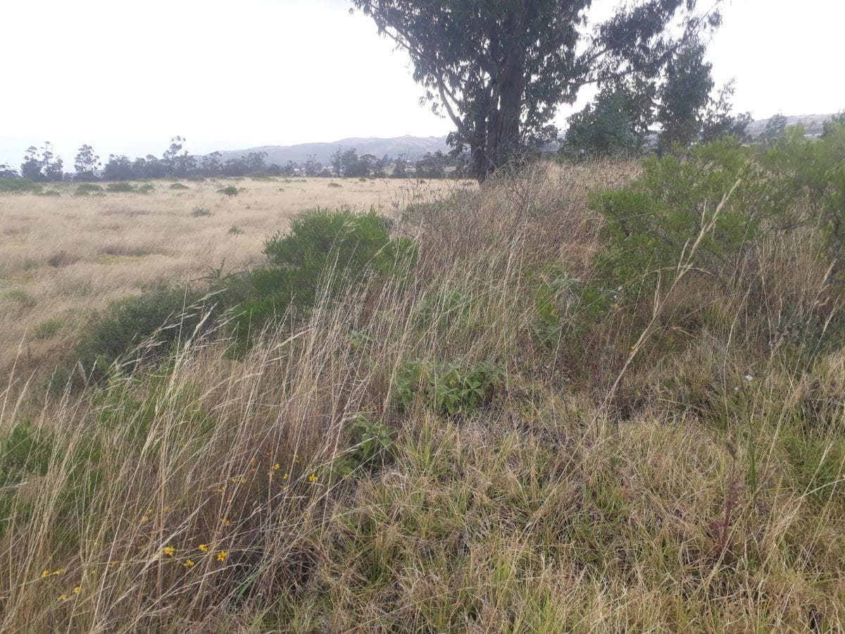 Venta Terreno Solanda, San Bartolo 2'000.000 — imagen 4
