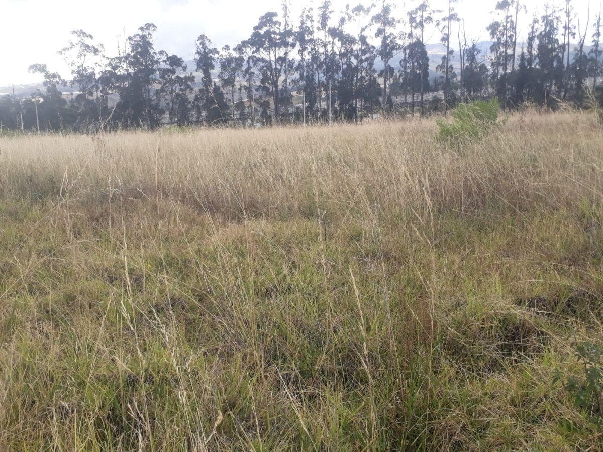 Venta Terreno Solanda, San Bartolo 2'000.000 — imagen 3