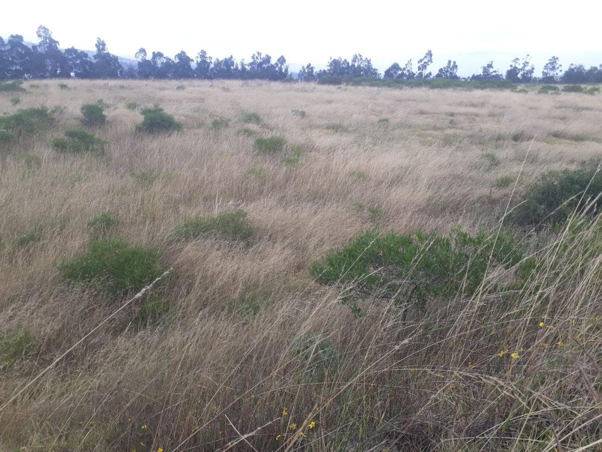 Venta Terreno Solanda, San Bartolo 2'000.000 — imagen 2
