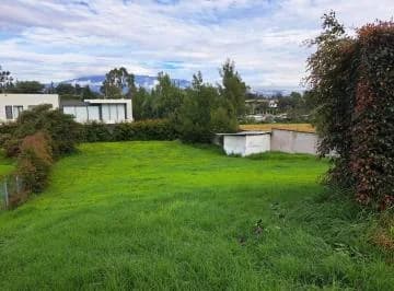 Vendo Terreno en Urb Privada Puembo — imagen 3