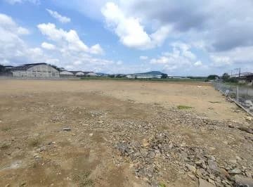 Alquiler Terreno Industrial 10.000 m Cuadrados Via a Daule, Guayas — imagen 2