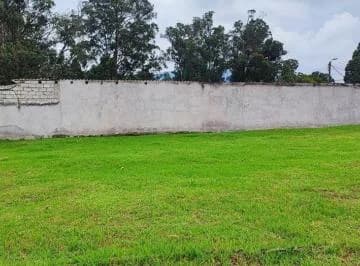 H/ Capelo, Terreno Plano en Venta, 1222 m² Precio de Oportunidad Usd — imagen 4