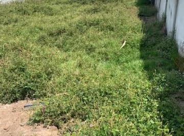 Vendo Terreno en San Juan de Cumbaya — imagen 5