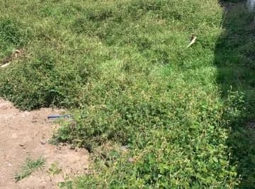 Vendo Terreno en San Juan de Cumbaya — imagen 3