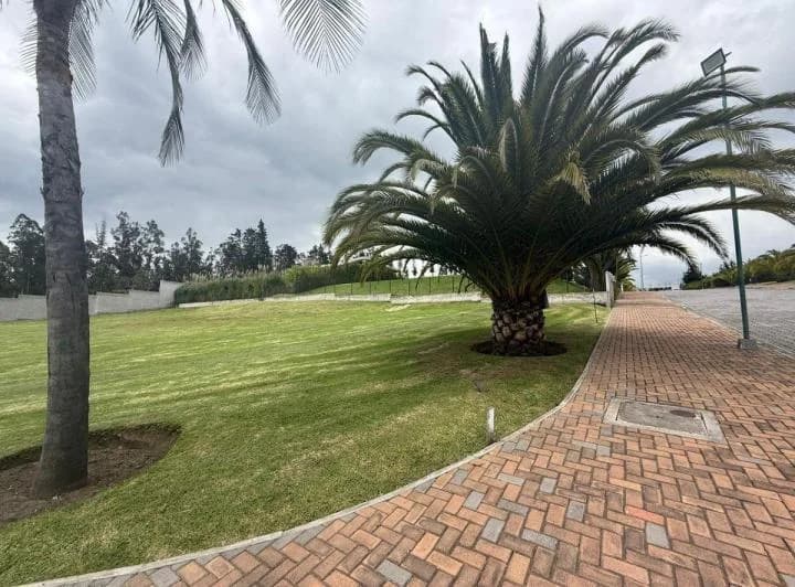 Se Vende Terreno en Puembo — imagen 1