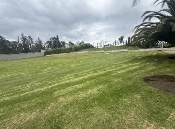 Se Vende Terreno en Puembo — imagen 4